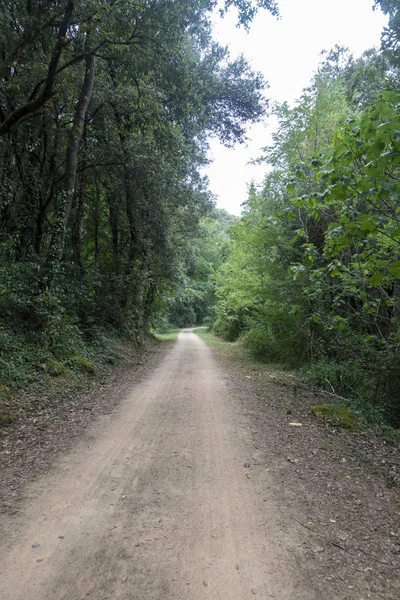 Зелений шлях Carrilet шлях Олот — стокове фото