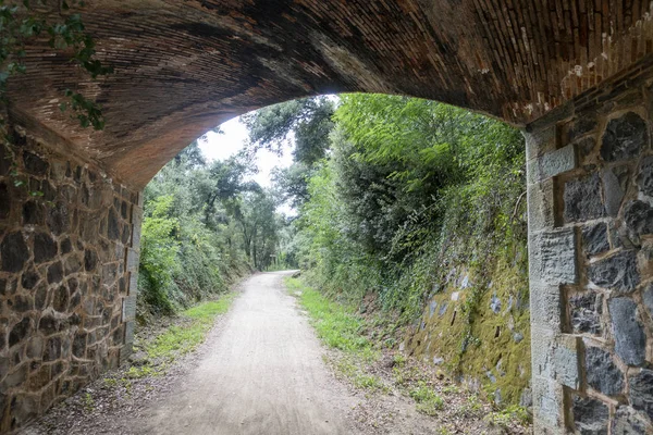 La via verde del sentiero carrabile di Olot — Foto Stock