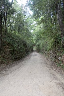 Olot'un leş yolunun yeşil yolu