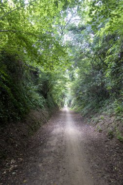 Olot'un leş yolunun yeşil yolu