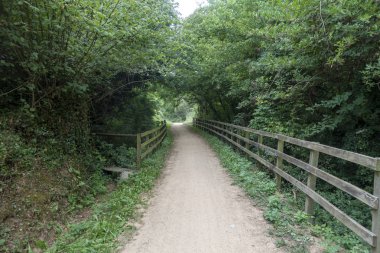 Olot'un leş yolunun yeşil yolu