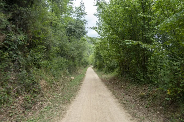 La via verde del sentiero carrabile di Olot — Foto Stock