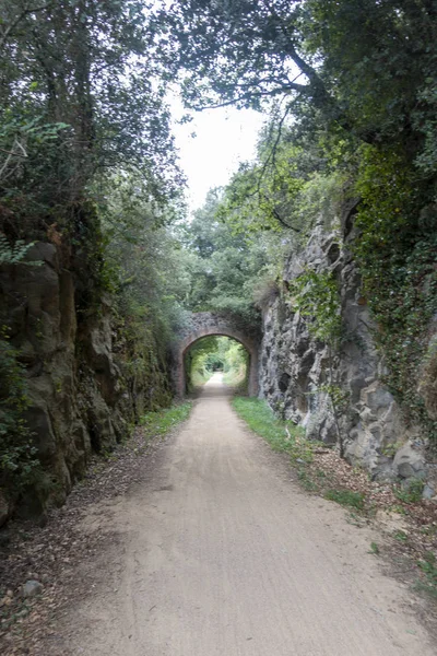 De groene weg van het Carrilet pad van Olot — Stockfoto