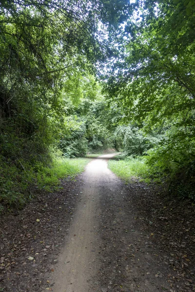 Зелений шлях Carrilet шлях Олот — стокове фото