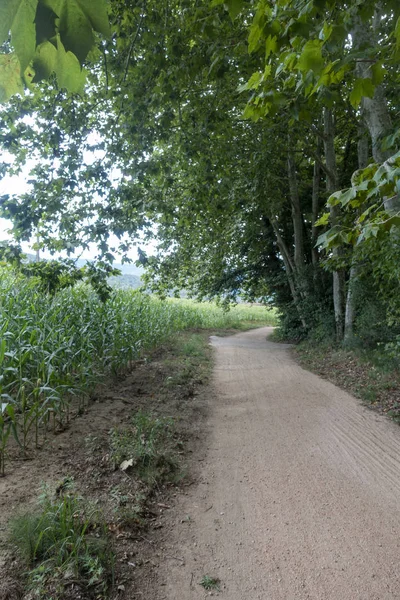 La via verde del sentiero carrabile di Olot — Foto Stock