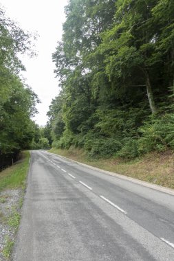 Katalan Pireneler'de Olot ve Ripoll arasındaki yol