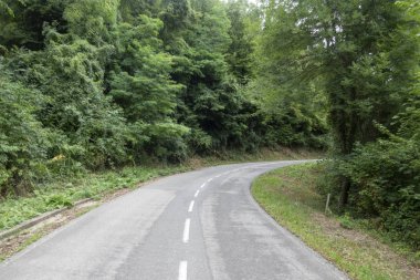 Katalan Pireneler'de Olot ve Ripoll arasındaki yol