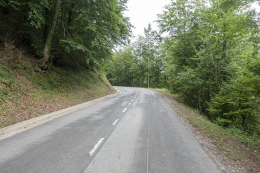 Katalan Pireneler'de Olot ve Ripoll arasındaki yol