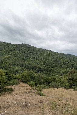 Katalan Pireneler'de Olot ve Ripoll arasındaki yol