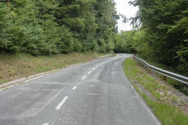 Route entre Olot et Ripoll dans les Pyrénées Catalanes — Photo