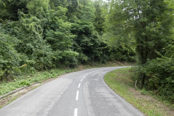 Straße zwischen olot und ripoll in den katalanischen Pyrenäen — Stockfoto