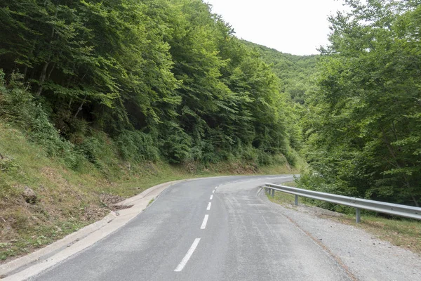 Carretera entre Olot y Ripoll en los Pirineos Catalanes —  Fotos de Stock