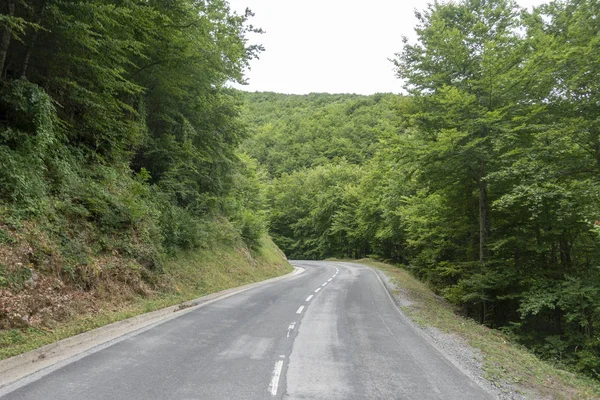 Strada tra Olot e Ripoll nei Pirenei Catalani — Foto Stock