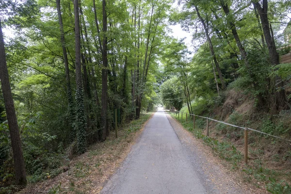 Vía Verde del Ferro en Carbo in het binnenland van Girona — Stockfoto