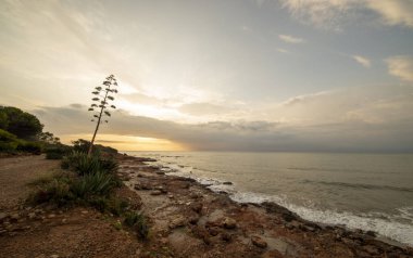 Oropesa del Mar sahilinde bulutlu gündoğumu