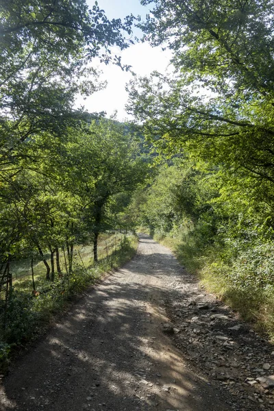 Ambiente naturale della città di Ripoll a Girona — Foto Stock