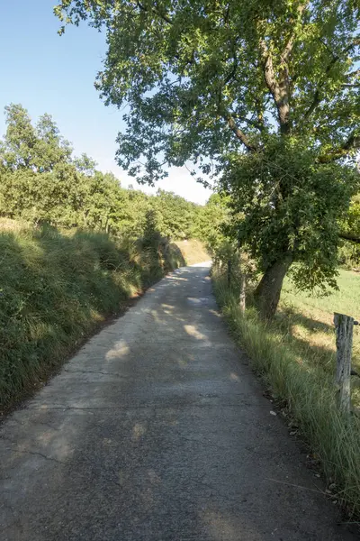 Ambiente naturale della città di Ripoll a Girona — Foto Stock