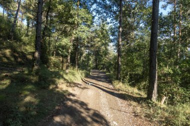Girona'daki Ripoll kasabasının doğal çevresi