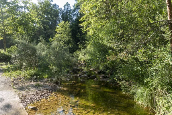 Natural environment of the town of Ripoll in Girona