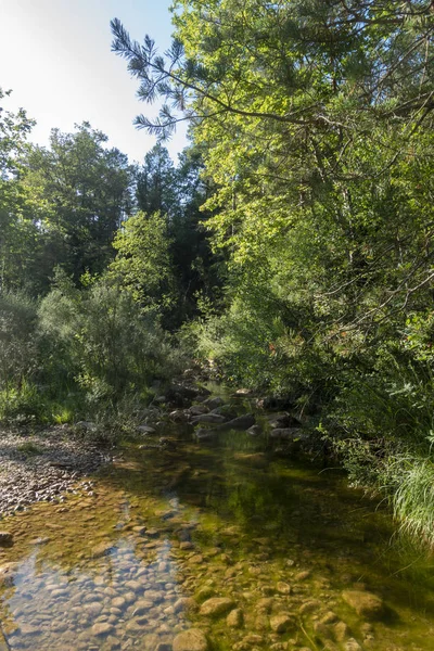 Ambiente natural da cidade de Ripoll em Girona — Fotografia de Stock