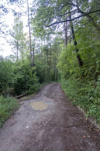 Entorno natural de la localidad de Ripoll en Girona —  Fotos de Stock