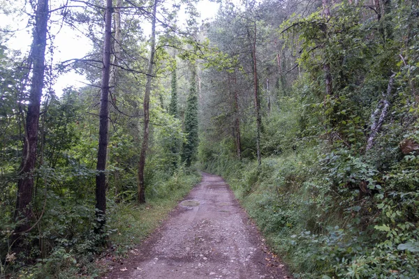 Ambiente naturale della città di Ripoll a Girona — Foto Stock