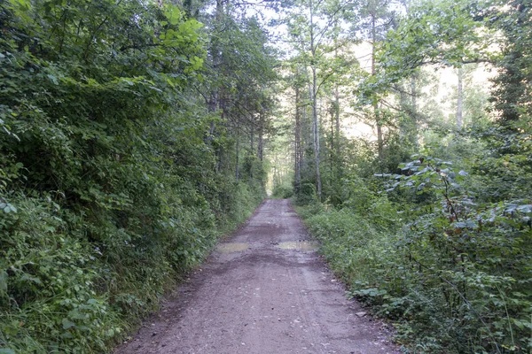 Naturalne środowisko miasta Ripoll w Girona — Zdjęcie stockowe