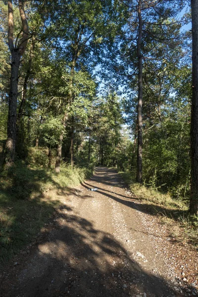 Ambiente naturale della città di Ripoll a Girona — Foto Stock