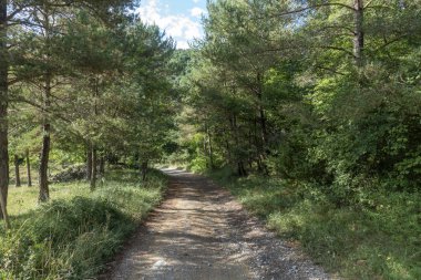Girona'daki Ripoll kasabasının doğal çevresi