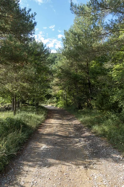 Natural environment of the town of Ripoll in Girona