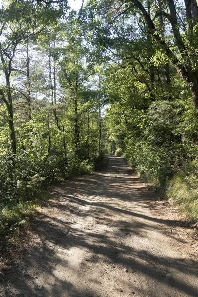 Ambiente naturale della città di Ripoll a Girona — Foto Stock