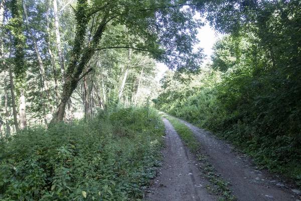 Der Weg durch das Innere der Girona — Stockfoto