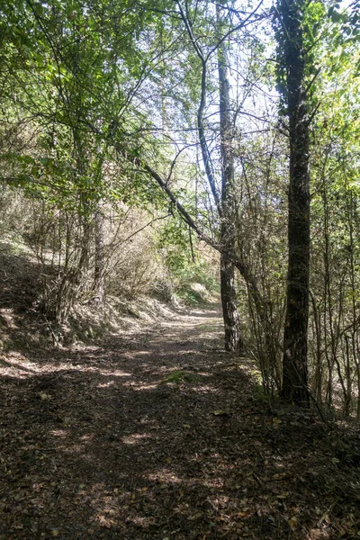 La route ter à travers l'intérieur de Gérone — Photo