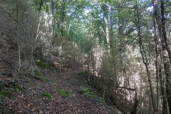 La route ter à travers l'intérieur de Gérone — Photo