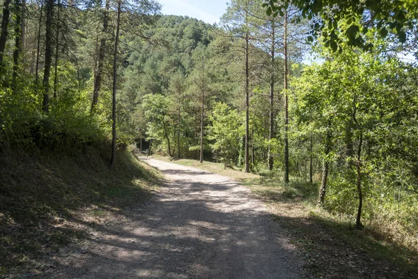 Il percorso ter attraverso l'interno di Girona — Foto Stock