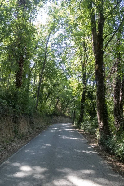 La route ter à travers l'intérieur de Gérone — Photo