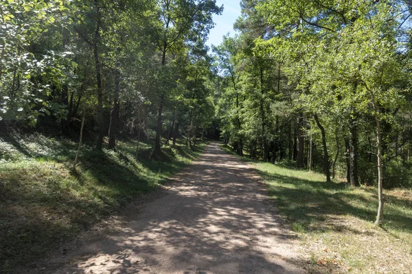 La route ter à travers l'intérieur de Gérone — Photo