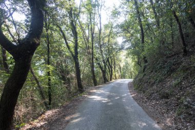 Cataloni Masnou tarafından ter yolu