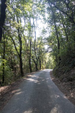 Cataloni Masnou tarafından ter yolu