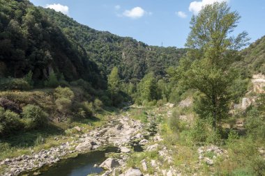 Ter güzergahı üzerinde tau bataklık