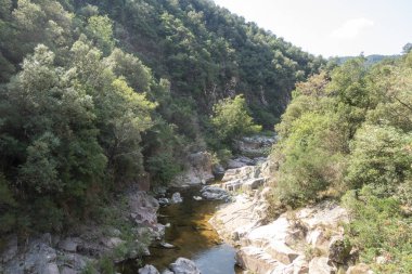 Ter güzergahı üzerinde tau bataklık