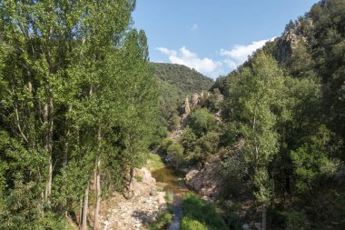 Ter güzergahı üzerinde tau bataklık