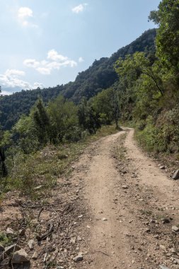Ter güzergahı üzerinde tau bataklık