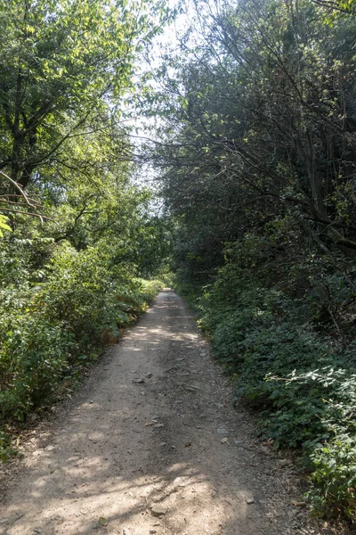 Ter güzergahı üzerinde tau bataklık