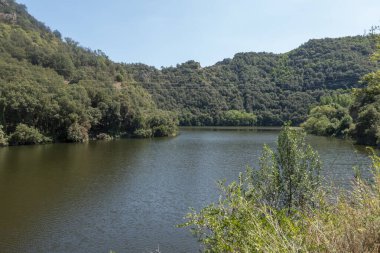 Ter güzergahı üzerinde tau bataklık