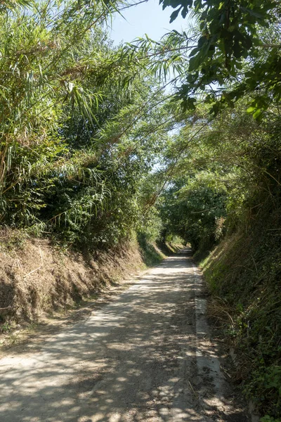 La via verde del sentiero carrabile di Olot — Foto Stock