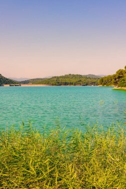 İspanya, Valencia, Castellon 'da sessiz bir gölde gün doğumu