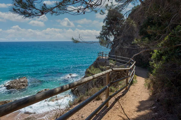 Der Bach Llorell Auf Dem Rundweg Tossa Mar Spanien Stockbild