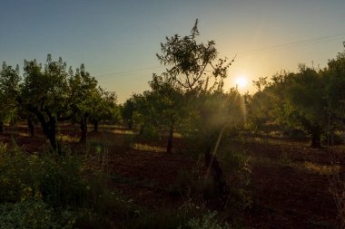 Gündoğumu Camino de Santiago boyunca ve Augusta de Castellon üzerinden, İspanya
