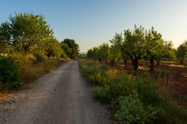 Gündoğumu Camino de Santiago boyunca ve Augusta de Castellon üzerinden, İspanya